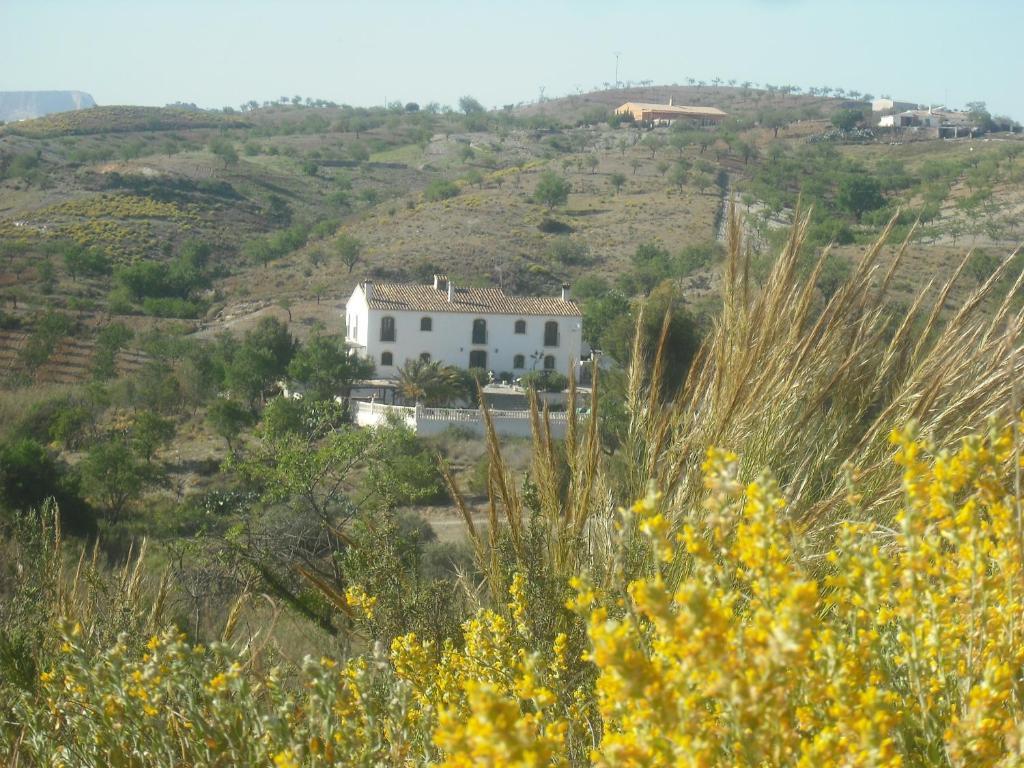 Hotel Los Sibileys Henares Exterior foto