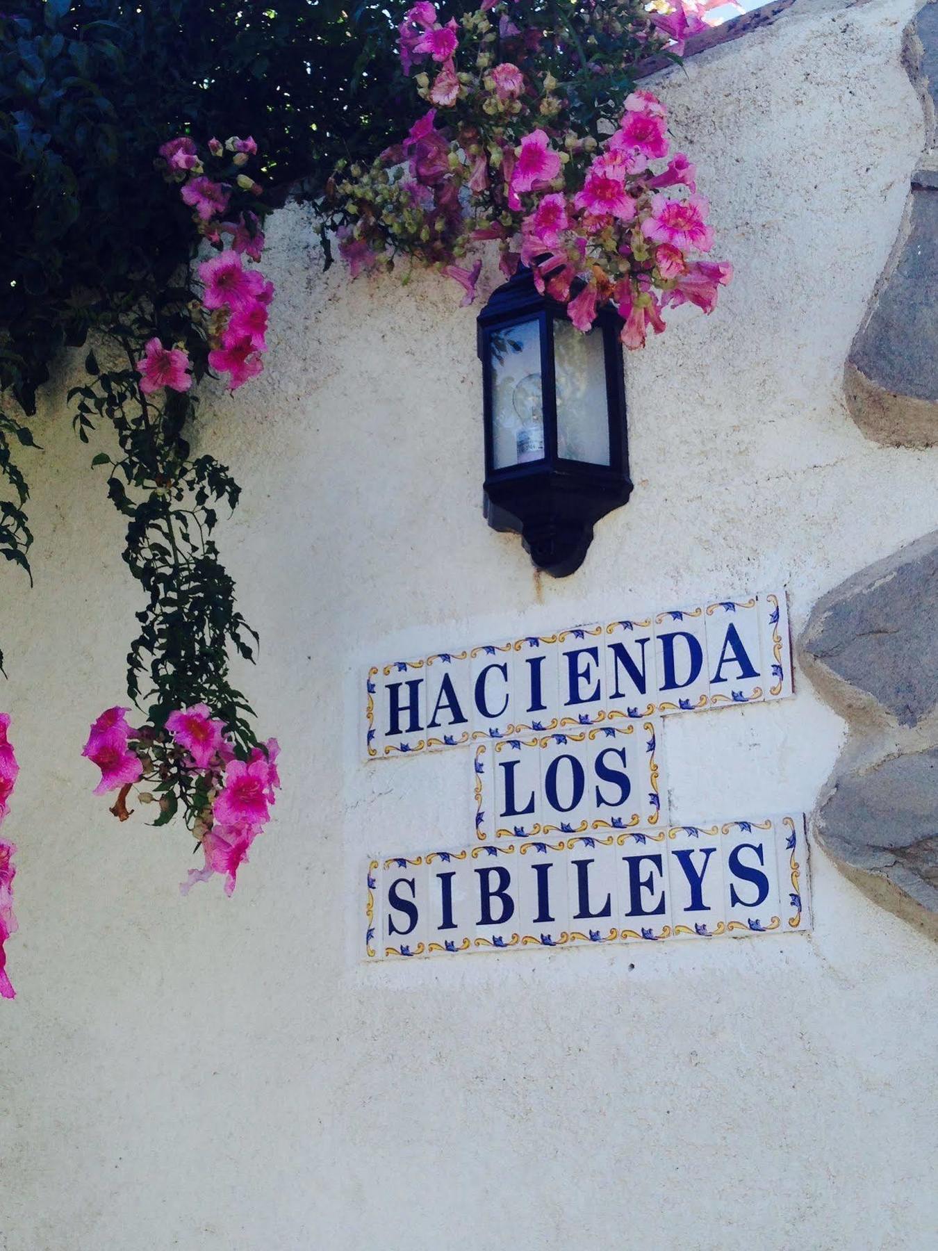 Hotel Los Sibileys Henares Exterior foto